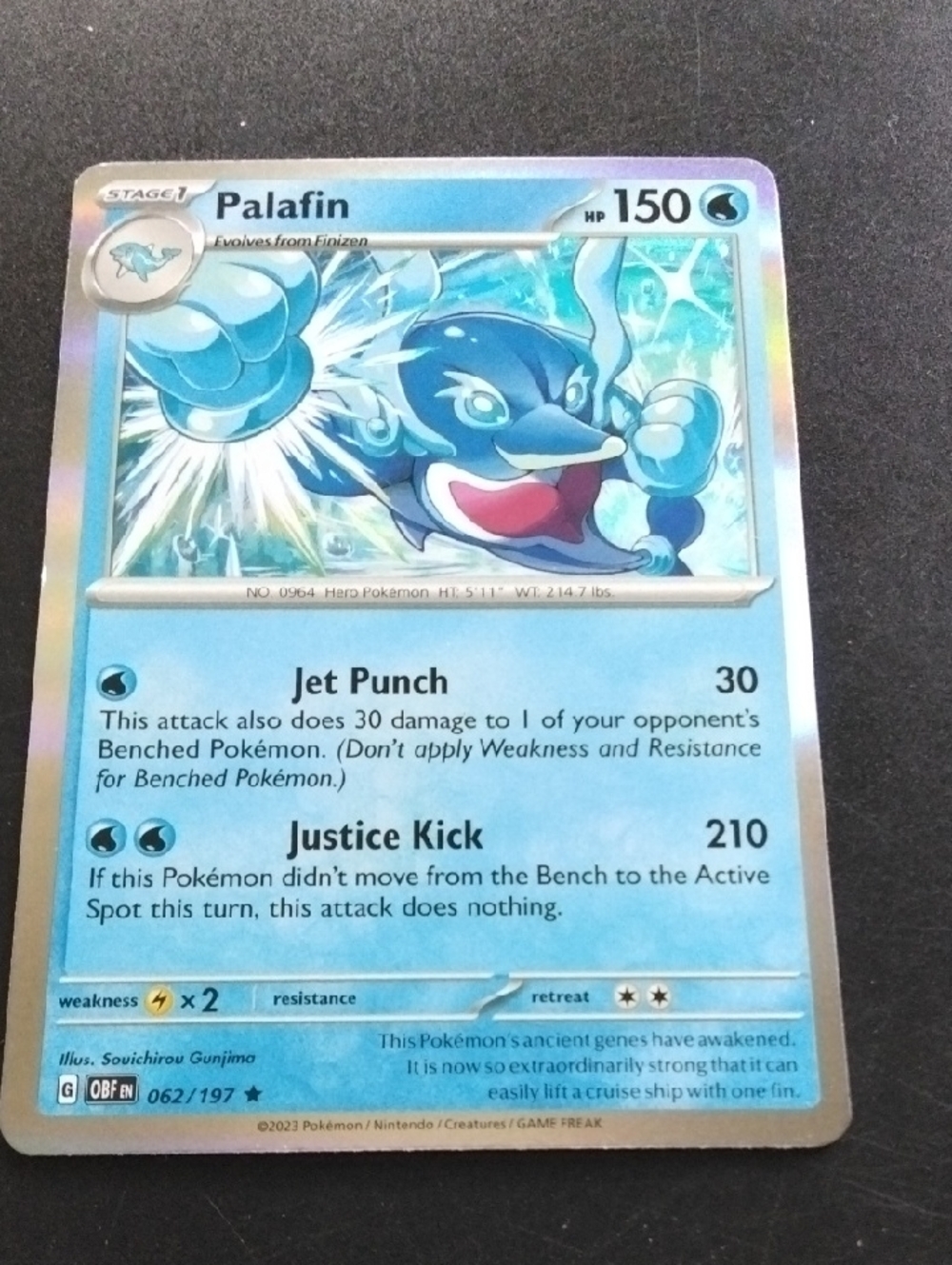 Palafin Holographic
